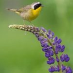 片酷网:重温你和我的倾城时光,感受青春的回忆 5aixtj