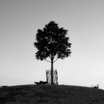 特狗影视大全免费观看:畅享海量影视资源的最佳选择 lc3mas9w