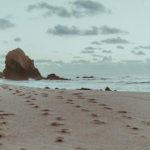 狗头萝莉三部曲全集免费:探索奇幻冒险的精彩旅程 p0x6j1