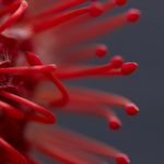 爱迪影视网:探索最新影视动态与精彩内容 w6n9ibl