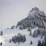 磁力下载网站:探索最受欢迎的资源下载平台与使用技巧 4a7lk