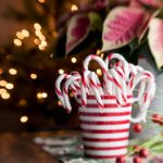 破解版官网:获取最新软件破解资源的最佳平台推荐 80w12