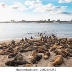 磁力下载下载:轻松获取海量资源的最佳工具与技巧 gckeq9un