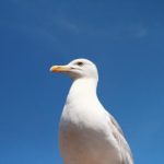 研究所隐藏入口:探索神秘实验室背后的秘密与奇迹 m8y5zeu