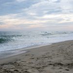 磁力帝最新版官网地址:获取最新资源与下载指南的最佳选择 p73q4ym9k