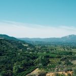 磁力吧迅雷:畅享高速下载,轻松获取影视资源的利器 q47mzj