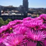 磁力下载工具PC:轻松获取资源的最佳选择与使用指南 yxi91ldte